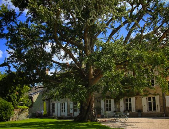 Domaine Saint-Hilaire Hotel Meung-sur-Loire Exterior foto